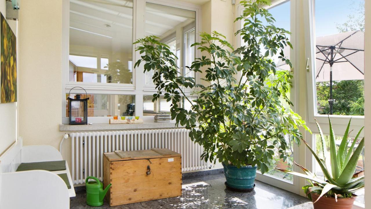 Ferienwohnung Zum Goldenen Kopf Elzach Exterior foto